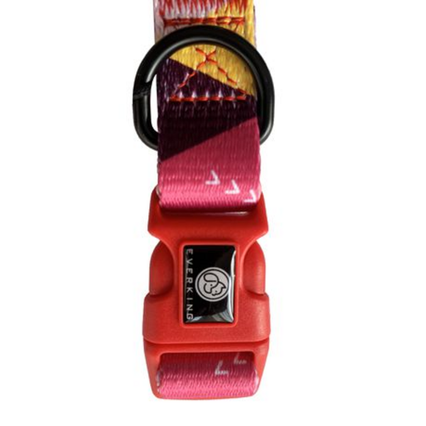 Premium Pop Series Design Dog Collar - Colorful - Image 2